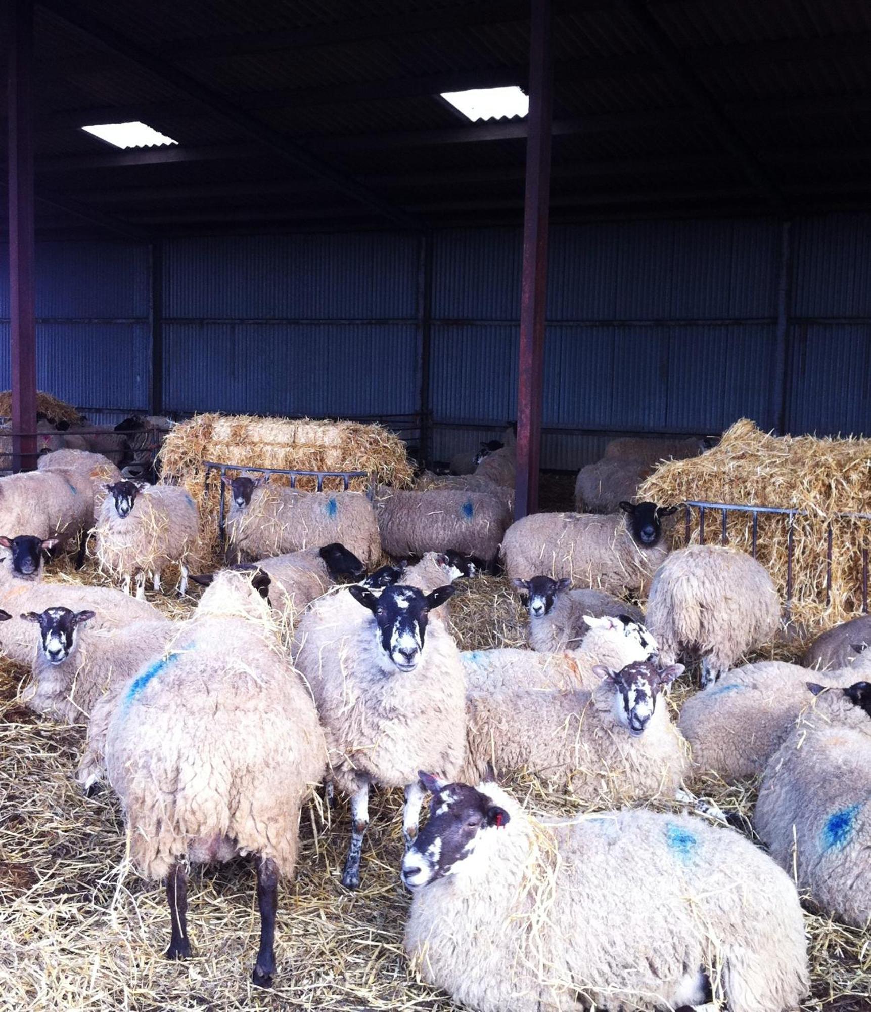 Whitchurch Farm Guesthouse Alderminster Esterno foto
